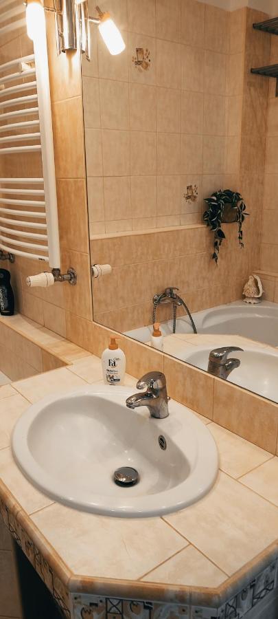 Danube Riverside Apartment With Quite Workplace Братислава Екстер'єр фото