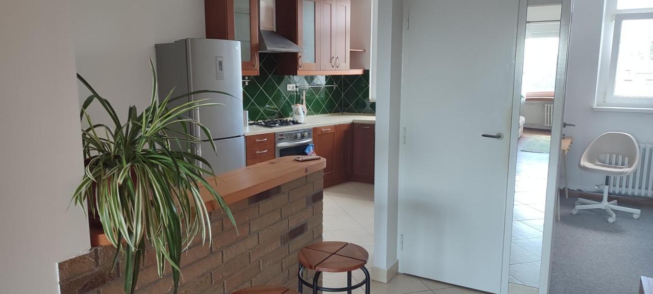 Danube Riverside Apartment With Quite Workplace Братислава Екстер'єр фото